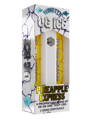 Hang Ten - OG Ice - Pineapple Express Disposable