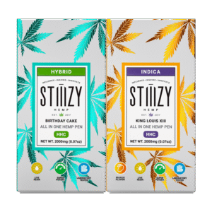 STIIIZY - HHC All-In-One Disposable - 2g