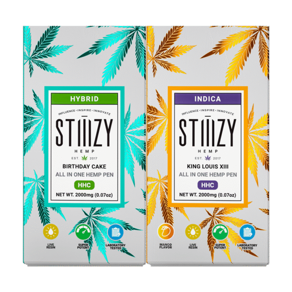 STIIIZY - HHC All-In-One Disposable - 2g