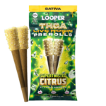 Looper - THCA Live Rosin Pre-rolls - 2g