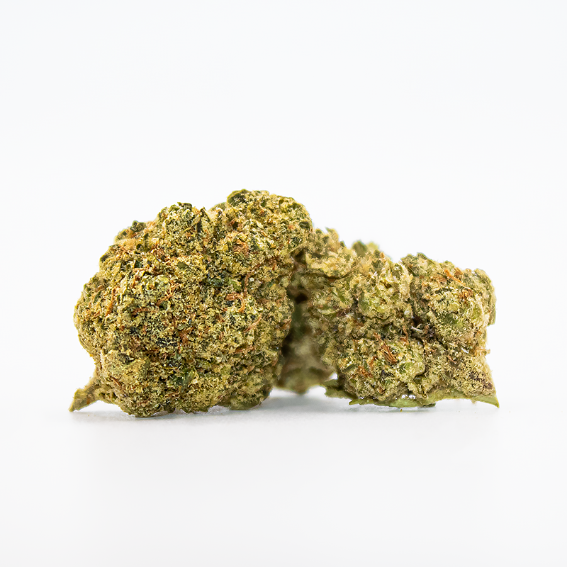 Silverback Hemp Co -THCA Exotic Flower - Mexican Flan - Sativa - 1oz