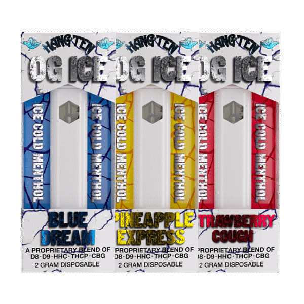 Hang Ten - OG Ice - Disposable - 2g