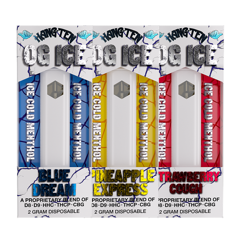 Hang Ten - OG Ice - Disposable - 2g