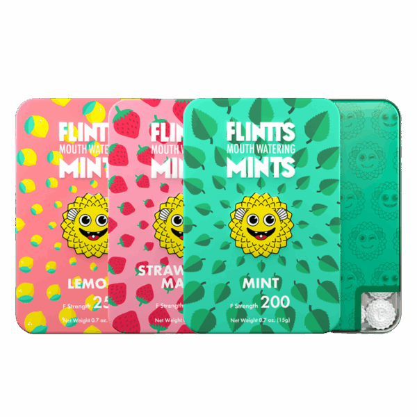Flinnts Mints - Mouth Watering Mints