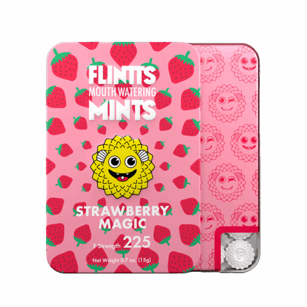 Flinnts Mints - Mouth Watering Mints
